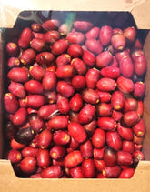 تمر رطب خنيزي في الامارات